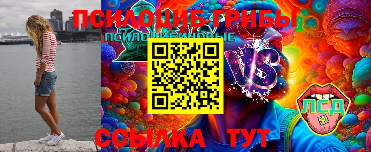 Псилоцибиновые грибы Magic Shrooms Ишим