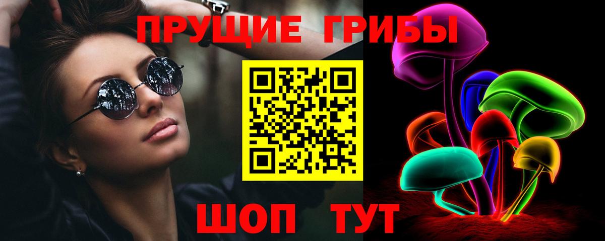 Псилоцибиновые грибы прущие грибы  даркнет сайт  Галлюциногенные грибы ЛСД  Ишим  Вход с VPN 